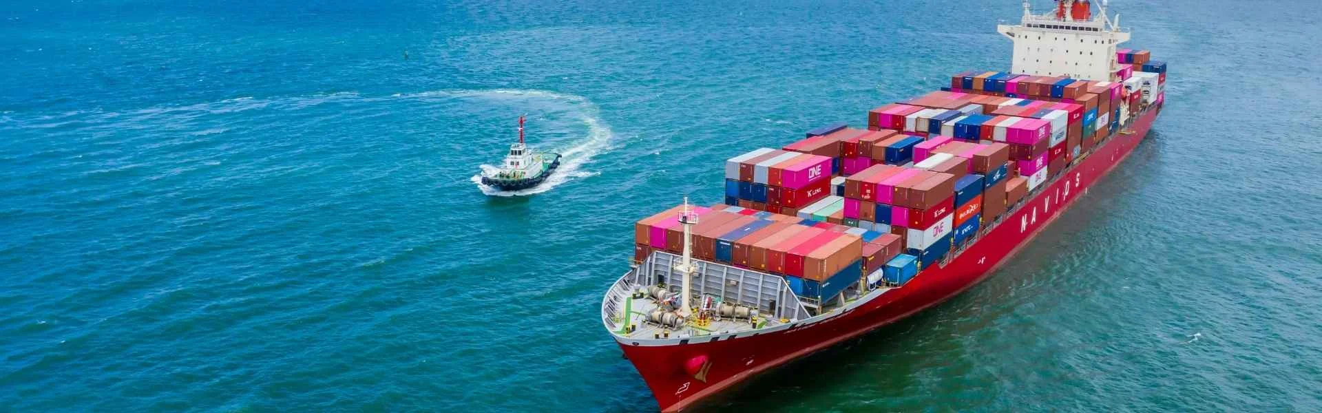 Nesans global presence