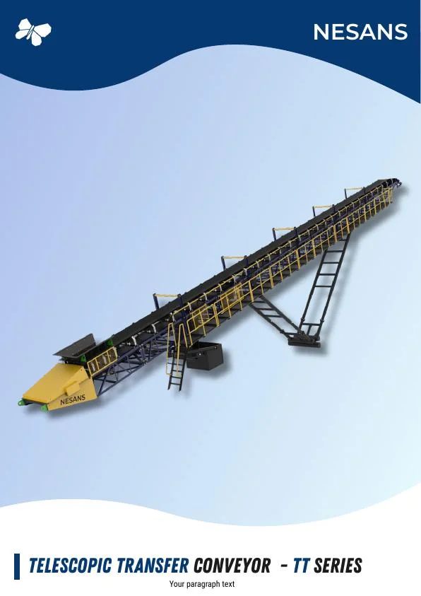 TT Series Telescopic Transfer Conveyor