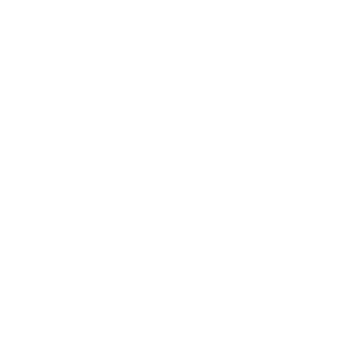 Nesans Logo